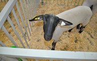 Wisconsin Valley Fair 2012 15