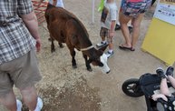 Wisconsin Valley Fair 2012 14