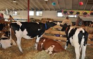 Wisconsin Valley Fair 2012 12