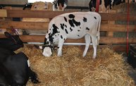 Wisconsin Valley Fair 2012 18