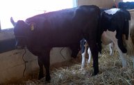 Wisconsin Valley Fair 2012 10