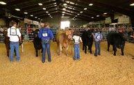 Wisconsin Valley Fair 2012 28
