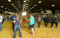 Wisconsin Valley Fair 2012 27