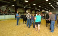 Wisconsin Valley Fair 2012 26