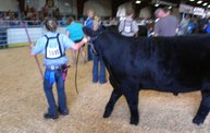 Wisconsin Valley Fair 2012 25