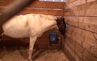 Wisconsin Valley Fair 2012 21