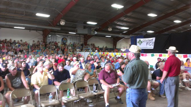 Market Animal Sale let the bidding begin