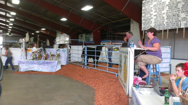 Market Animal Sale Grand Champion Beef
