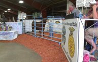 Wisconsin Valley Fair 2012 9