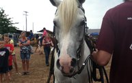 Wisconsin Valley Fair 2012 14