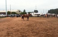 Wisconsin Valley Fair 2012 7