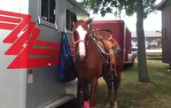 Wisconsin Valley Fair 2012 6