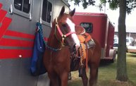 Wisconsin Valley Fair 2012 5