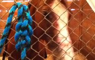 Wisconsin Valley Fair 2012 22