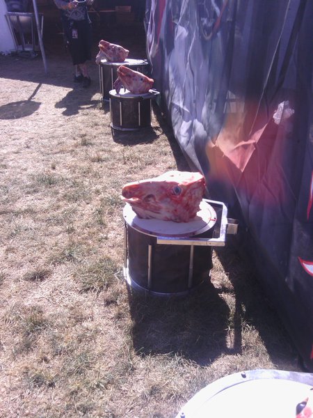 Listener Lonnie hit us up with some great KnotFest shots!