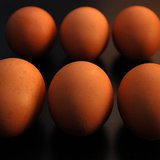 Eggs Eggs
