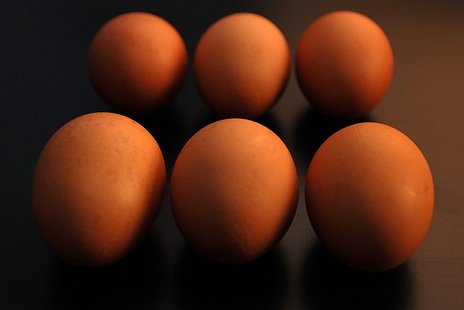 Eggs Eggs
