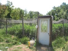 Geneva Township marijuana grow operation seized. It was reportedly concealed from street view by a tarp. Geneva Township marijuana grow operation seized. It was reportedly concealed from street view by a tarp.