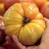 An organically grown Heirloom tomato is seen in the produce section at the Whole Foods grocery story in Ann Arbor, Michigan, March 8, 2012. 