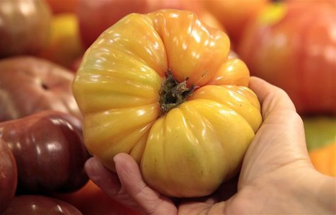 An organically grown Heirloom tomato is seen in the produce section at the Whole Foods grocery story in Ann Arbor, Michigan, March 8, 2012. An organically grown Heirloom tomato is seen in the produce section at the Whole Foods grocery story in Ann Arbor, Michigan, March 8, 2012.