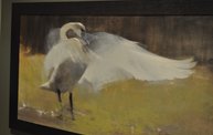 Birds in Art 2012 at the Woodson Art Museum 6
