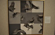 Birds in Art 2012 at the Woodson Art Museum 13