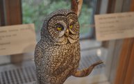 Birds in Art 2012 at the Woodson Art Museum 1