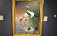 Birds in Art 2012 at the Woodson Art Museum 5