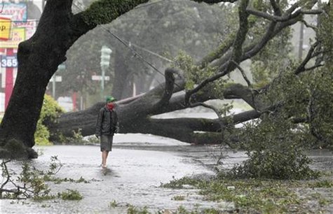 A man stands in front of an uprooted oak tree on Louisiana Avenue as Hurricane Isaac makes land fall in New Orleans, Louisiana August 29, 20 A man stands in front of an uprooted oak tree on Louisiana Avenue as Hurricane Isaac makes land fall in New Orleans, Louisiana August 29, 20