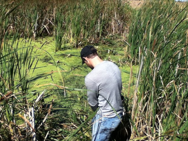 Swamp hazard!