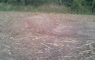 Hot Mess Mud Run: See the Course as it's Built 14