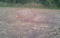 Hot Mess Mud Run: See the Course as it's Built 14