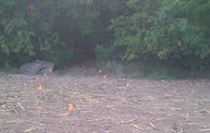 Hot Mess Mud Run: See the Course as it's Built 6