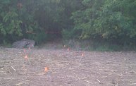 Hot Mess Mud Run: See the Course as it's Built 6