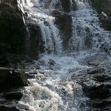 Chester Creek