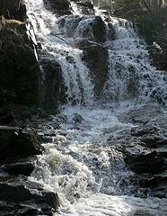 Chester Creek Chester Creek
