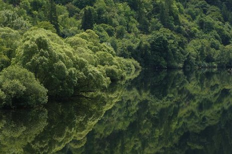 Trees are reflected in the still waters along a river near Eugene, Oregon July 1, 2008. REUTERS/Mike Blake Trees are reflected in the still waters along a river near Eugene, Oregon July 1, 2008. REUTERS/Mike Blake