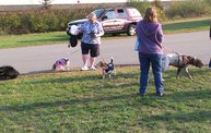 Paws on the Path 2012 14