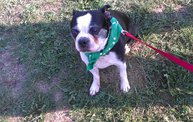 Paws on the Path 2012 17