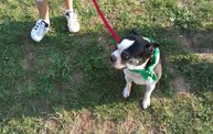 Paws on the Path 2012 16