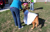 Paws on the Path 2012 5