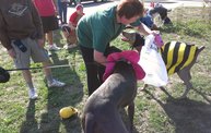 Paws on the Path 2012 6