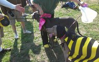 Paws on the Path 2012 2