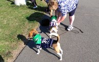 Paws on the Path 2012 4