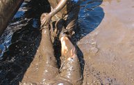 WTAQ Photo Coverage of the Hot Mess Mud Run 16
