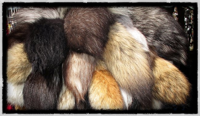 Tails for your cycle! You could buy just about anything for your ride...