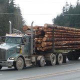 Logging truck Logging truck
