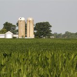 A farm is seen in the distance behind corn fields in Redkey, Indiana June 28, 2012. REUTERS/Brent Smith A farm is seen in the distance behind corn fields in Redkey, Indiana June 28, 2012. REUTERS/Brent Smith