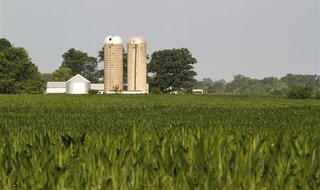 A farm is seen in the distance behind corn fields in Redkey, Indiana June 28, 2012. REUTERS/Brent Smith