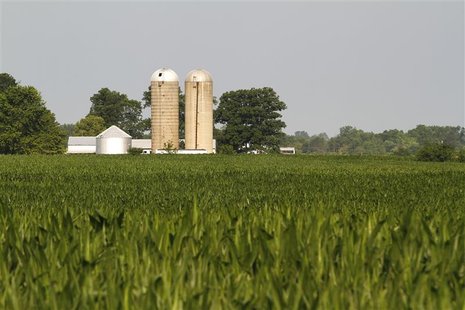 A farm is seen in the distance behind corn fields in Redkey, Indiana June 28, 2012. REUTERS/Brent Smith A farm is seen in the distance behind corn fields in Redkey, Indiana June 28, 2012. REUTERS/Brent Smith